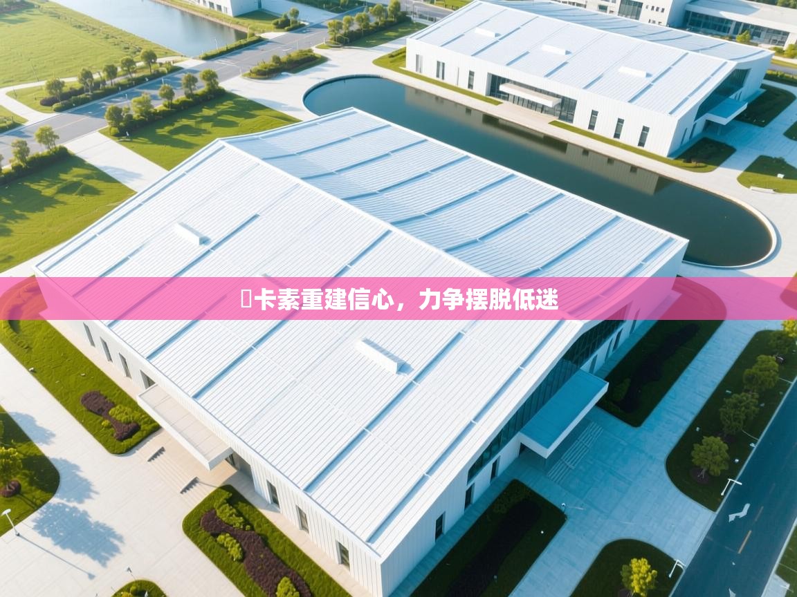 紐卡素重建信心,力争摆脱低迷 第2张