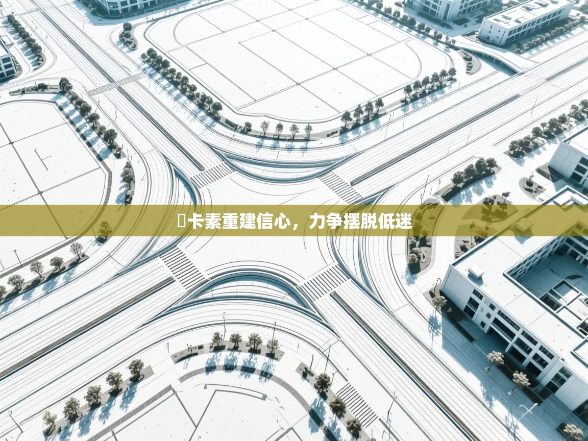 紐卡素重建信心,力争摆脱低迷 第1张