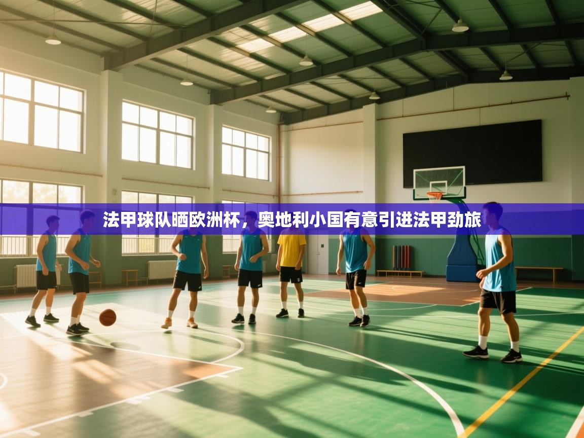 法甲球队晒欧洲杯，奥地利小国有意引进法甲劲旅